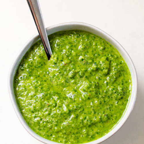 Increase the flavor of any meal with this super simple Chimichurri Sauce - made with fresh cilantro, parsley, garlic and red onion | ThisSavoryVegan.com
