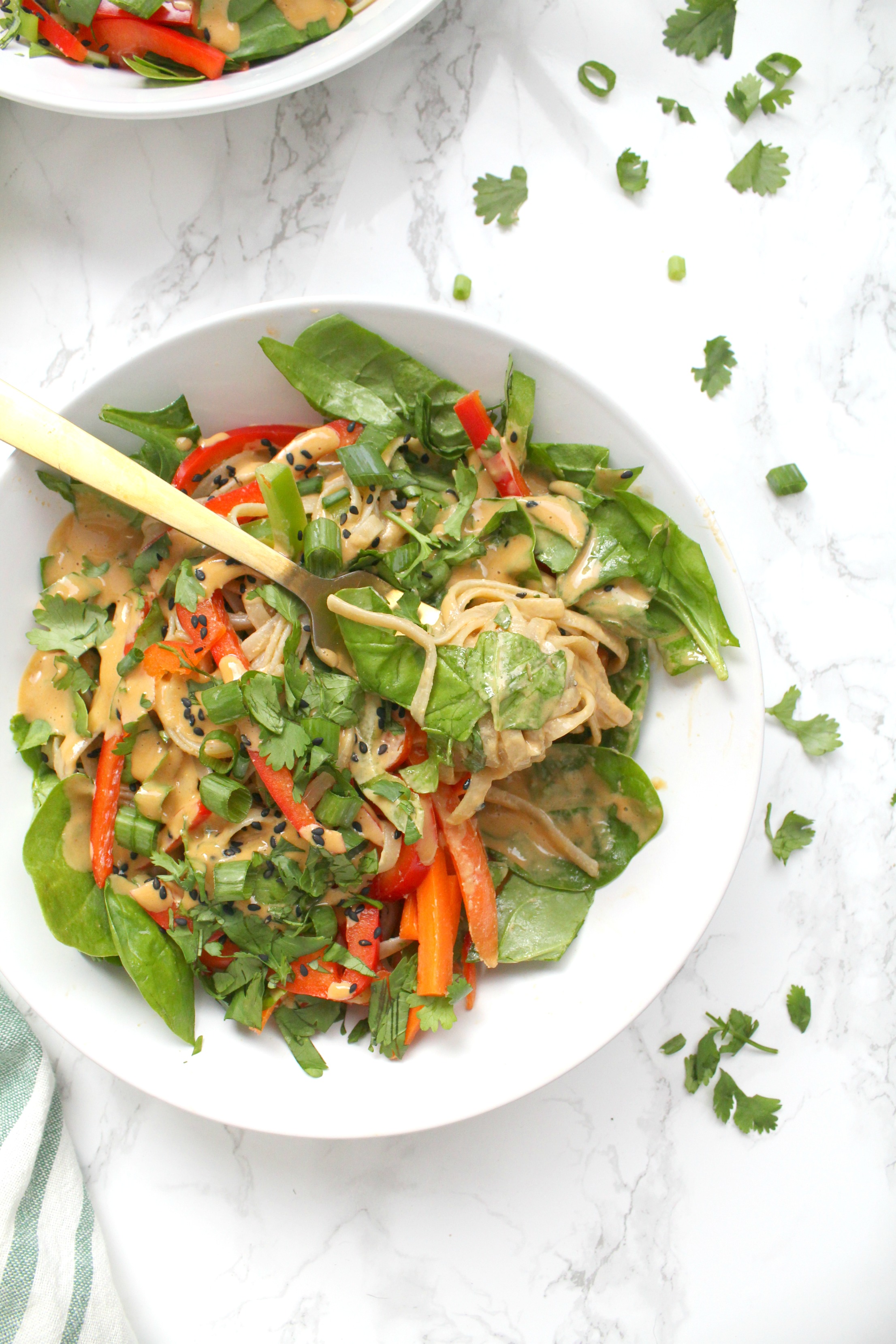 Raw veggies are tossed together with rice noodles and a tahini dressing in these Asian Tahini Noodle Bowls. A quick vegan dinner or make ahead lunch | ThisSavoryVegan.com #thissavoryvegan #mealprep