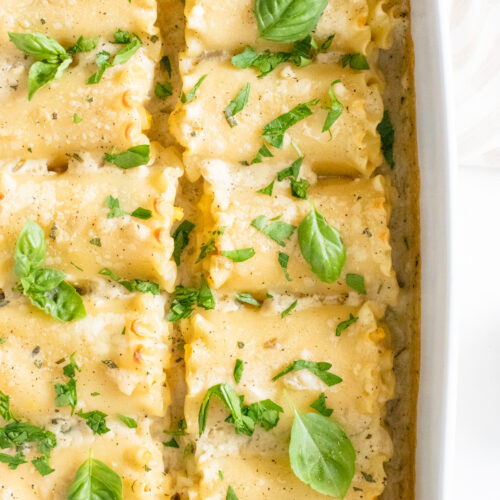 These Vegan Pumpkin Lasagna Roll Ups are filled with vegan ricotta, fresh herbs & pumpkin before being topped with a creamy vegan sauce! Perfect dinner for a cold night | ThisSavoryVegan.com #thissavoryvegan #veganlasagna #pumpkinlasagna