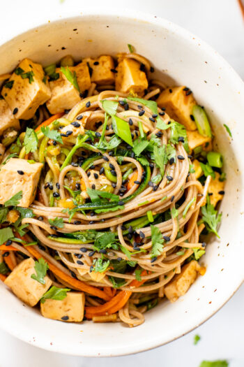 This Sesame Soba & Zoodle Salad is filled with healthy veggies, a savory sauce and flavorful tofu. A quick vegan lunch or dinner | ThisSavoryVegan.com #thissavoryvegan #sobasalad #zucchininoodles