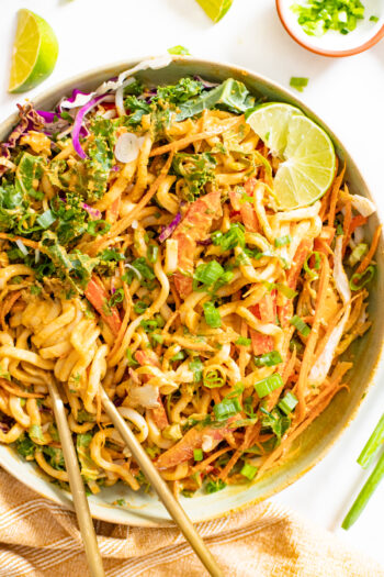 This Red Curry Udon Noodle Salad is made with a spicy tahini red curry sauce, crunchy veggies and cold udon noodles | ThisSavoryVegan.com #thissavoryvegan #tahininoodlesalad #reducurrysauce