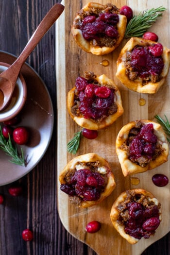 These Vegan Sausage & Cranberry Bites are sweet & savory - the best vegan holiday appetizer that everyone will love | ThisSavoryVegan.com #thissavoryvegan #veganthanksgiving #holidayappetizers