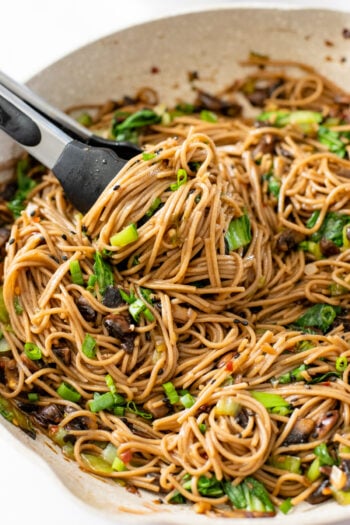 These 20-Minute Teriyaki Soba Noodles are filled with mushrooms, garlic & bok choy. The simple vegan dinner you need for busy weeknights | ThisSavoryVegan.com #thissavoryvegan #easyvegandinners #quickdinnerideas