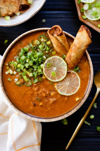 Vegan Beef Enchilada Soup is the most comforting and simple Fall soup recipe! It has simple ingredients, is veggie-packed and super creamy | ThisSavoryVegan.com #thissavoryvegan #vegansoup #veganfallrecipes