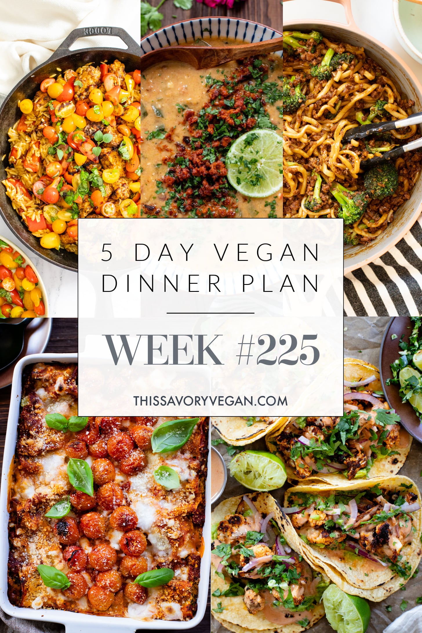 Not sure what to make for dinner this week? I have you covered with 5 simple & delicious vegan dinner ideas! | Vegan Dinner Plan #225 | ThisSavoryVegan.com #dinnerplan #veganmealprep #vegandinnerplan
