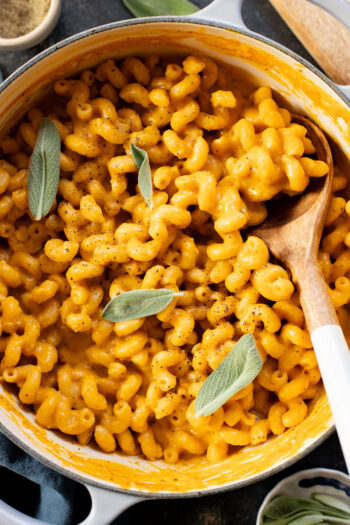 This vegan Butternut Squash Mac & Cheese is creamy, delicious and full of fall flavors. This is the perfect vegan holiday side dish | ThisSavoryVegan.com #thissavoryvegan #veganthanksgiving #veganmacandcheese