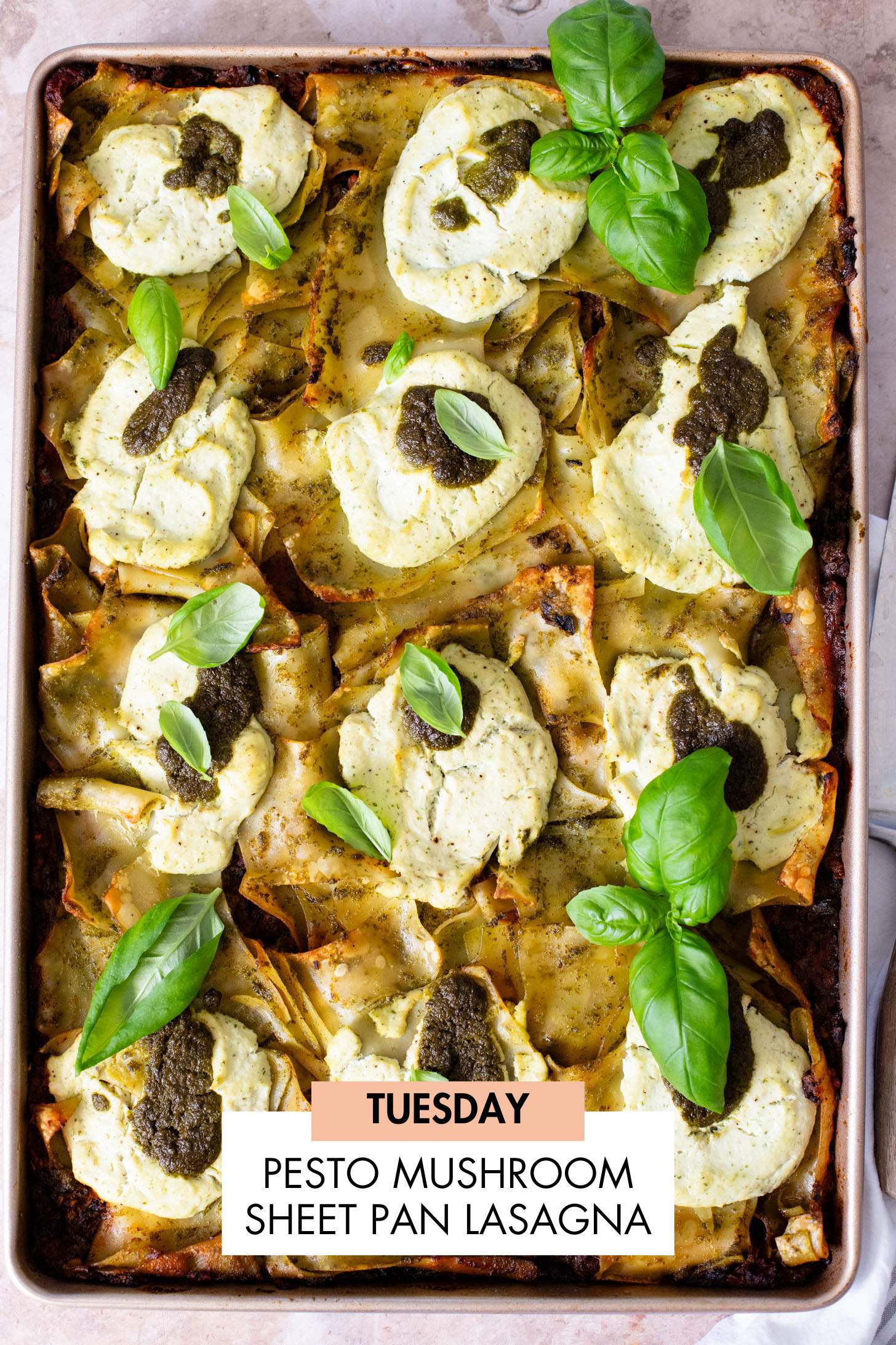 Not sure what to make for dinner this week? I have you covered with 5 simple & delicious vegan dinner ideas! | Vegan Dinner Plan #238 | ThisSavoryVegan.com #dinnerplan #veganmealprep #vegandinnerplan