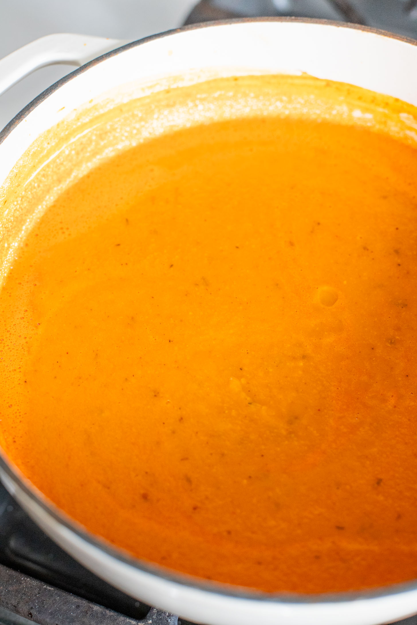 This Smoky Tomato Soup with Heart-Shaped Croutons is the perfect vegan Valentine's day recipe! Cozy, comforting and heart-warming food | ThisSavoryVegan.com #thissavoryvegan #heartshapedrecipes #valentinesdayrecipes