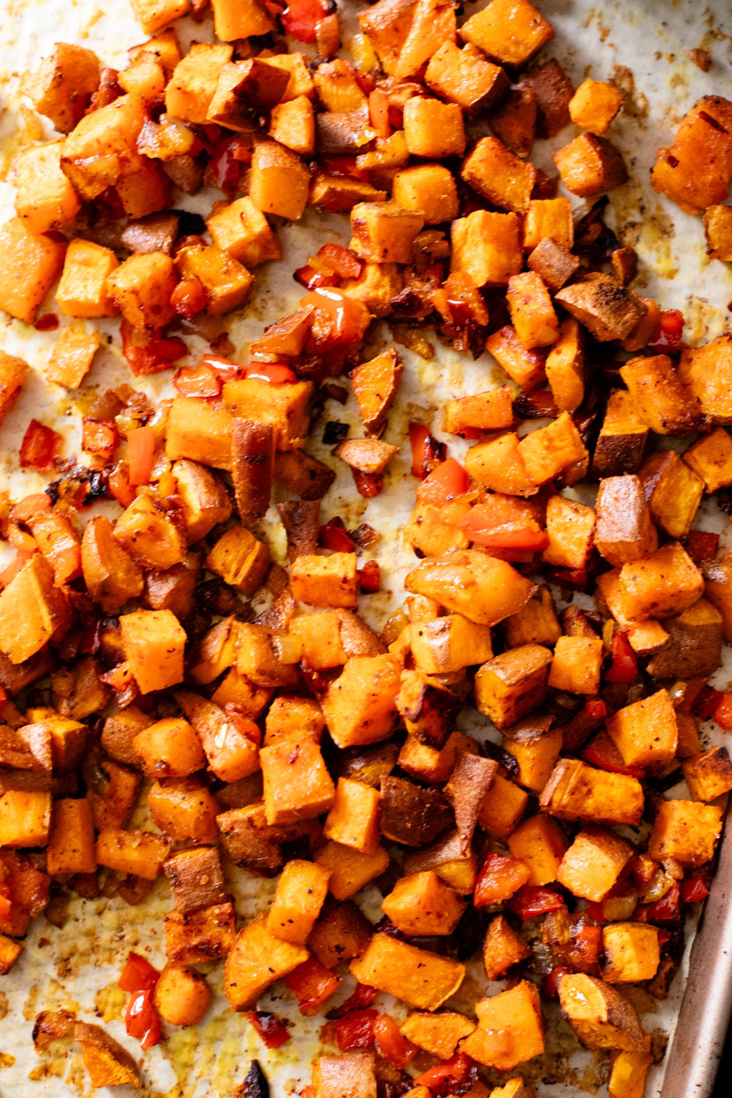 These Vegan Breakfast Bowls are healthy & delicious. Made with Just eggs, roasted sweet potatoes, black beans & avocado | ThisSavoryVegan.com #thissavoryvegan #veganbreakfastrecipes #healthybreakfast