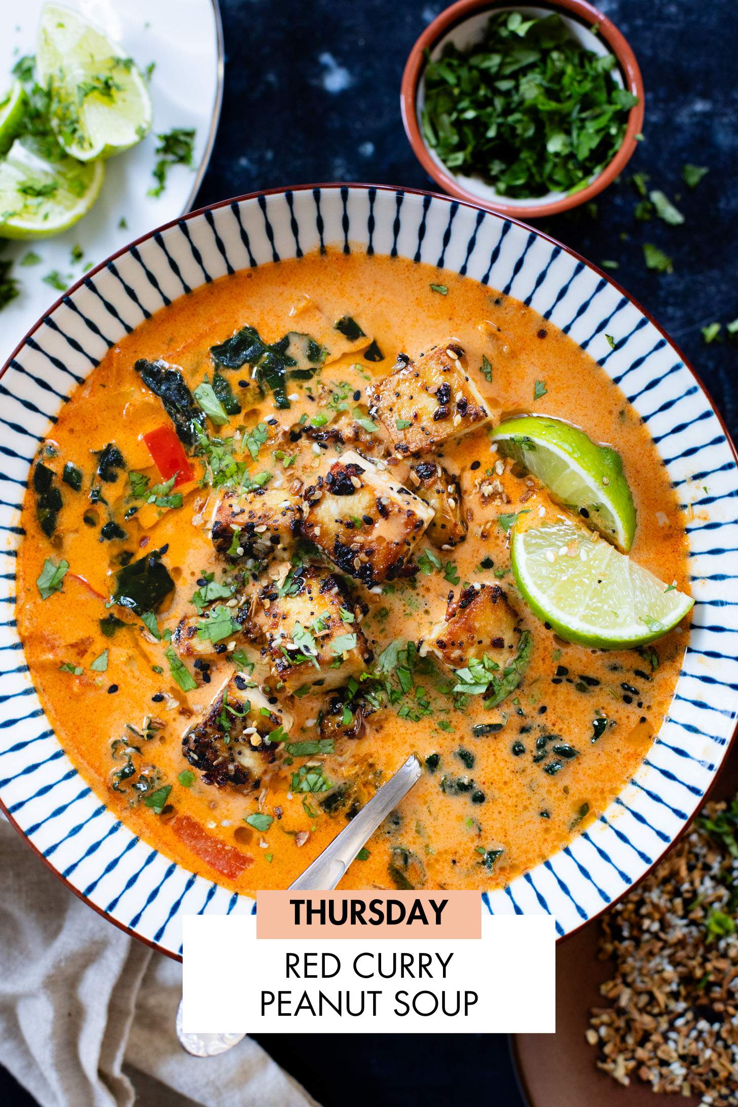 Not sure what to make for dinner this week? I have you covered with 5 simple & delicious vegan dinner ideas! | Vegan Dinner Plan #247 | ThisSavoryVegan.com #dinnerplan #veganmealprep #vegandinnerplan