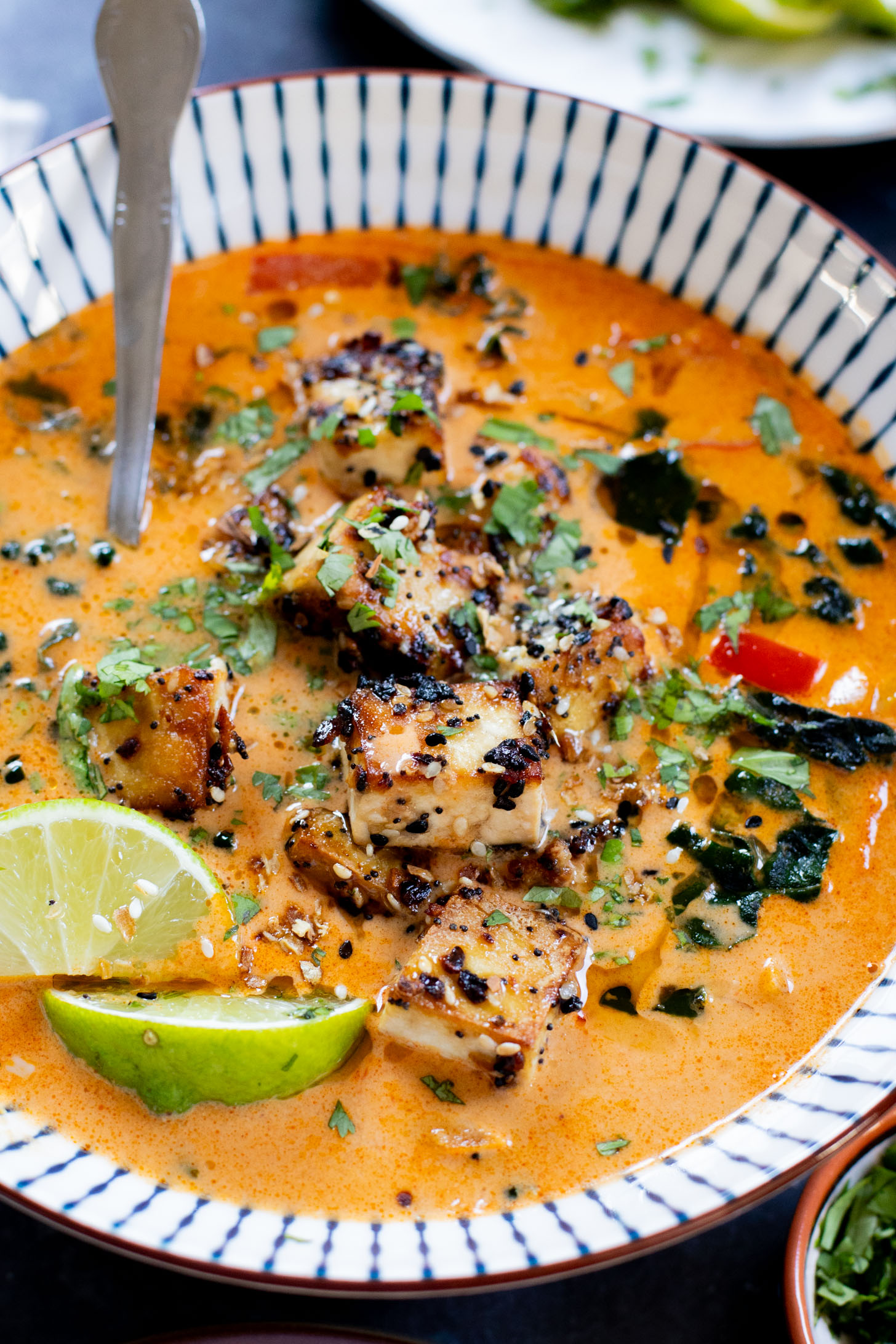 This Red Curry Peanut Soup with Sesame Crusted Tofu is made with a coconut broth, filled with veggies and finished with crispy tofu | ThisSavoryVegan.com #thissavoryvegan #tofurecipes #peanutsoup