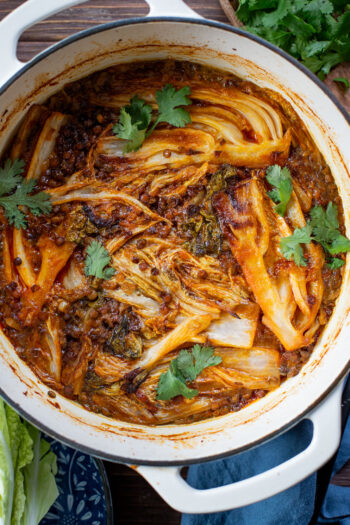 This Braised Cabbage & Lentils recipe is perfection! Napa cabbage is cooked in a coconut curry sauce with lentils until super tender | ThisSavoryVegan.com #thissavoryvegan #napacabbagerecipes #cozyveganrecipes