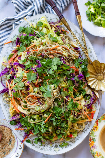 This Cold Peanut Noodle Salad is loaded with crunchy veggies, tender soba noodles and the BEST peanut sauce you've ever had | ThisSavoryVegan.com #thissavoryvegan #coldnoodles #peanutsalad