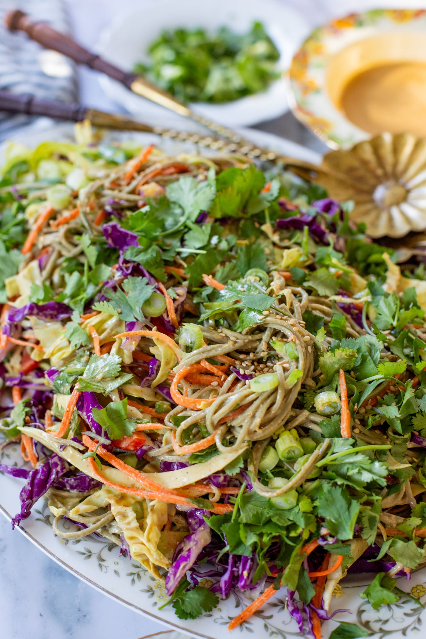 This Cold Peanut Noodle Salad is loaded with crunchy veggies, tender soba noodles and the BEST peanut sauce you've ever had | ThisSavoryVegan.com #thissavoryvegan #coldnoodles #peanutsalad
