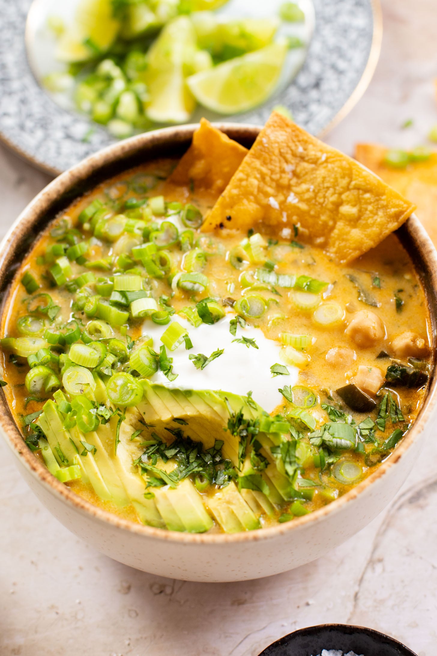 This simple, one-pot White Chickpea Chili is creamy & delicious. The perfect bowl of coziness to serve up on a cold day - don't forget the tortillas chips | ThisSavoryVegan.com #thissavoryvegan #veganchili #chickpearecipes
