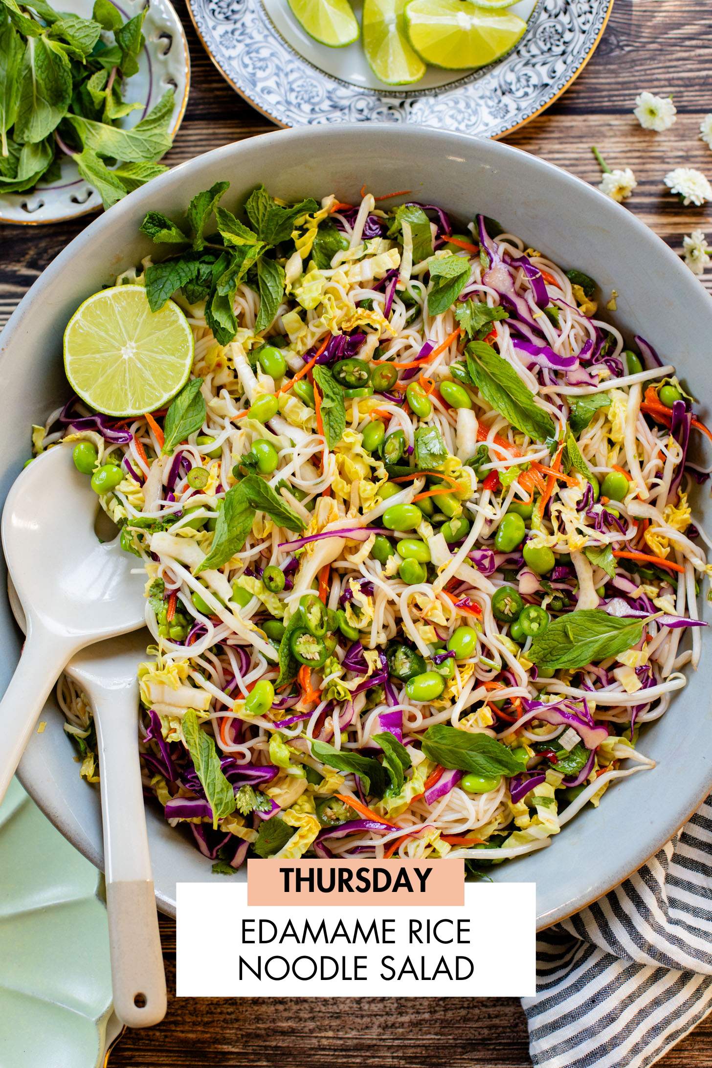 Not sure what to make for dinner this week? I have you covered with 5 simple & delicious vegan dinner ideas! | Vegan Dinner Plan #250 | ThisSavoryVegan.com