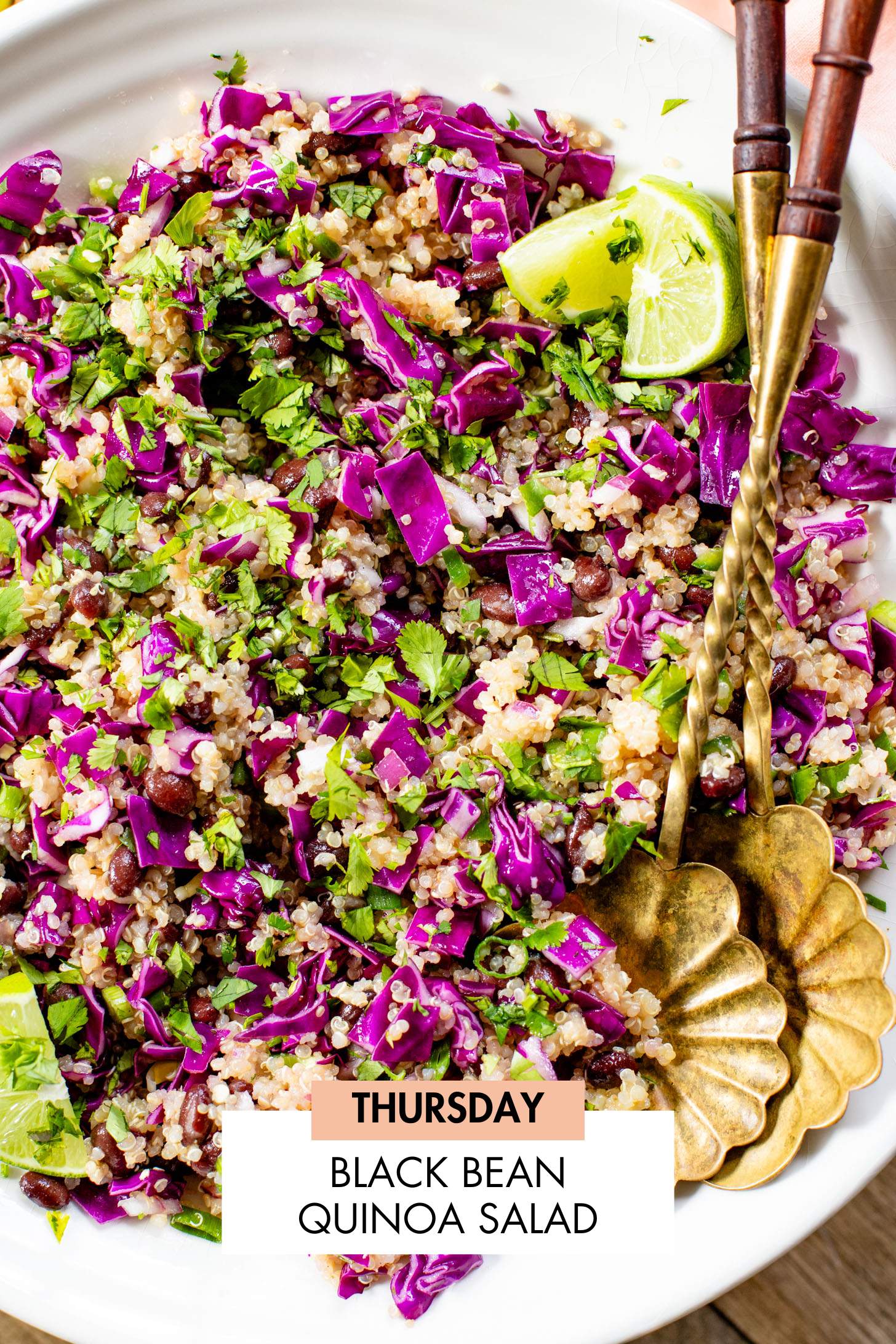 Not sure what to make for dinner this week? I have you covered with 5 simple & delicious vegan dinner ideas! | Vegan Dinner Plan #252 | ThisSavoryVegan.com