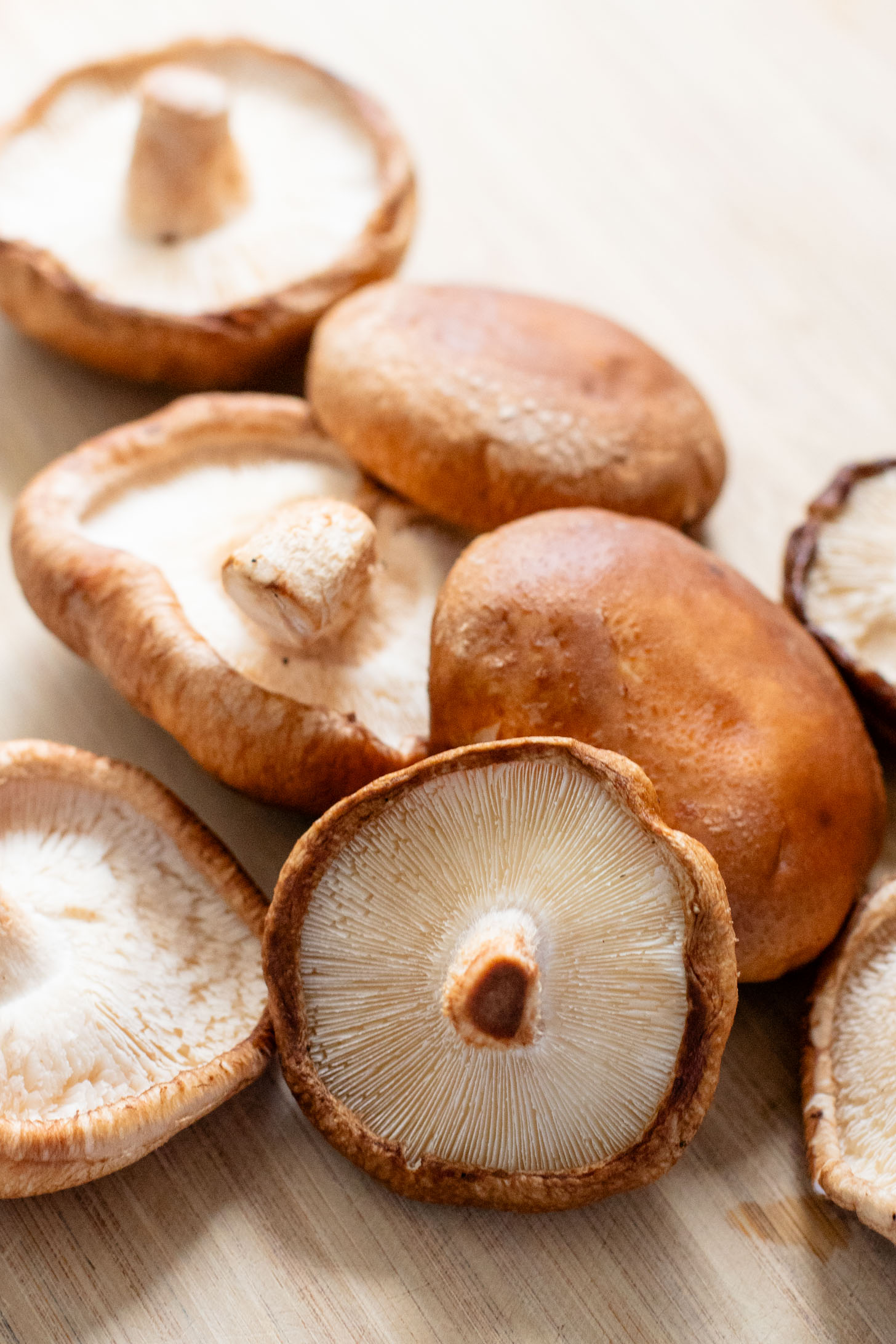 These Soyaki Mushroom Street Tacos are simple, delicious & vegan! Crispy mushrooms tossed in soyaki sauce & spicy slaw on mini corn tortillas | ThisSavoryVegan.com