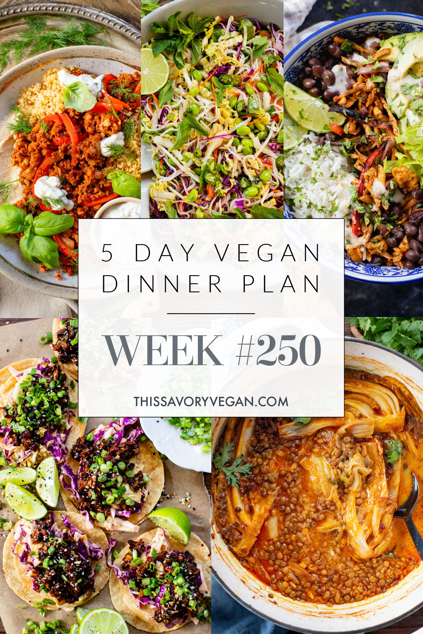 Not sure what to make for dinner this week? I have you covered with 5 simple & delicious vegan dinner ideas! | Vegan Dinner Plan #250 | ThisSavoryVegan.com