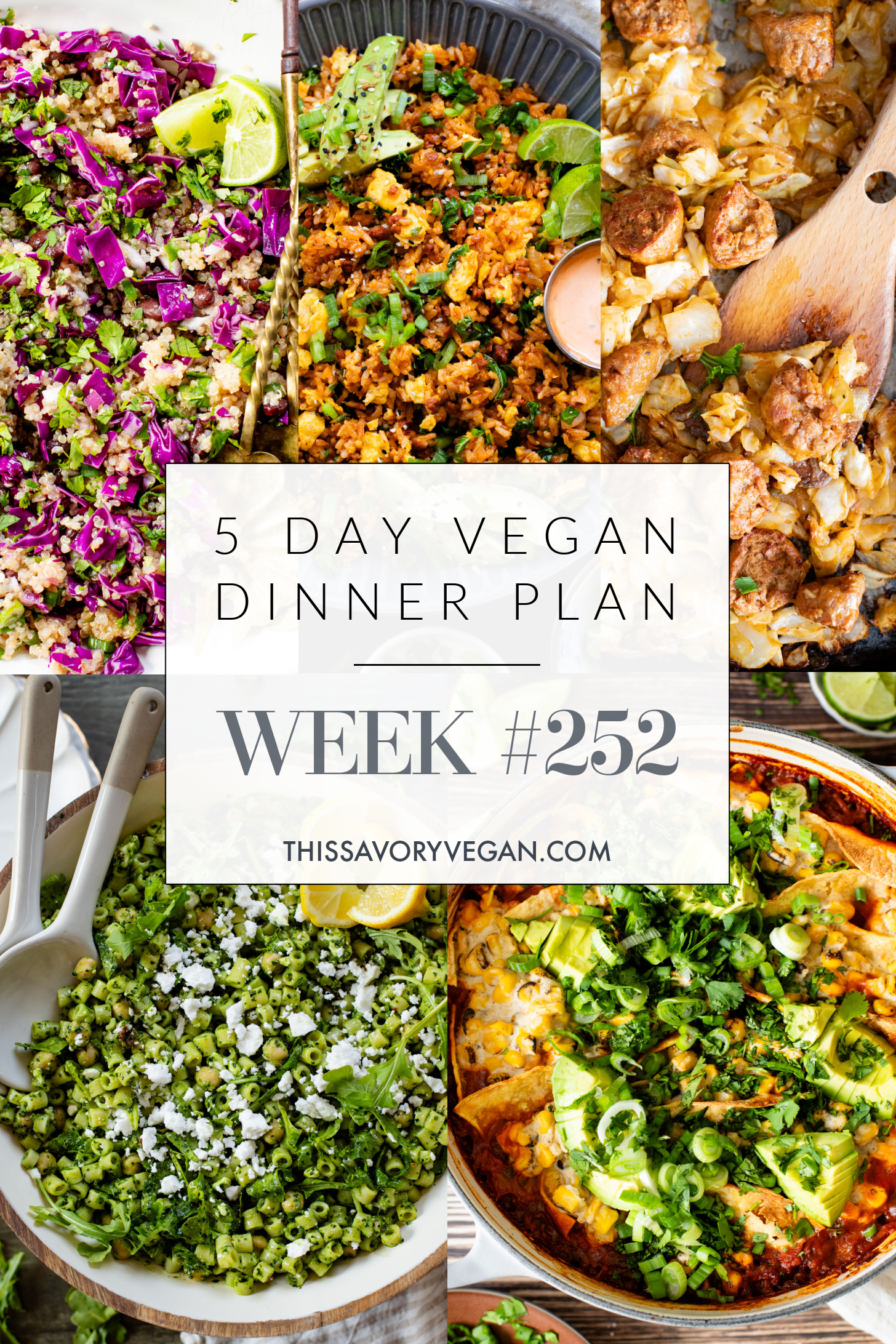 Not sure what to make for dinner this week? I have you covered with 5 simple & delicious vegan dinner ideas! | Vegan Dinner Plan #252 | ThisSavoryVegan.com