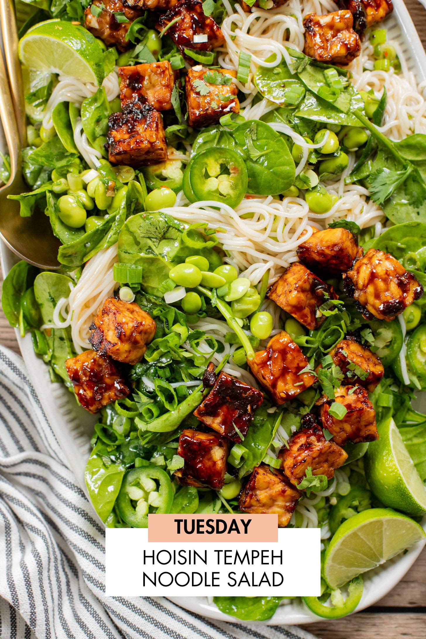 Not sure what to make for dinner this week? I have you covered with 5 simple & delicious vegan dinner ideas! | Vegan Dinner Plan #257 | ThisSavoryVegan.com