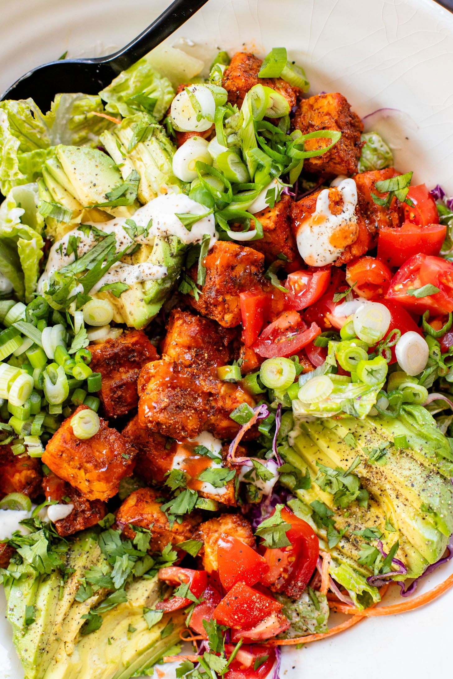 Loaded with crispy buffalo tempeh, vegan ranch and all the crunchy veggies, this Buffalo Tempeh Salad is a healthy, simple and delicious vegan salad | ThisSavoryVegan.com