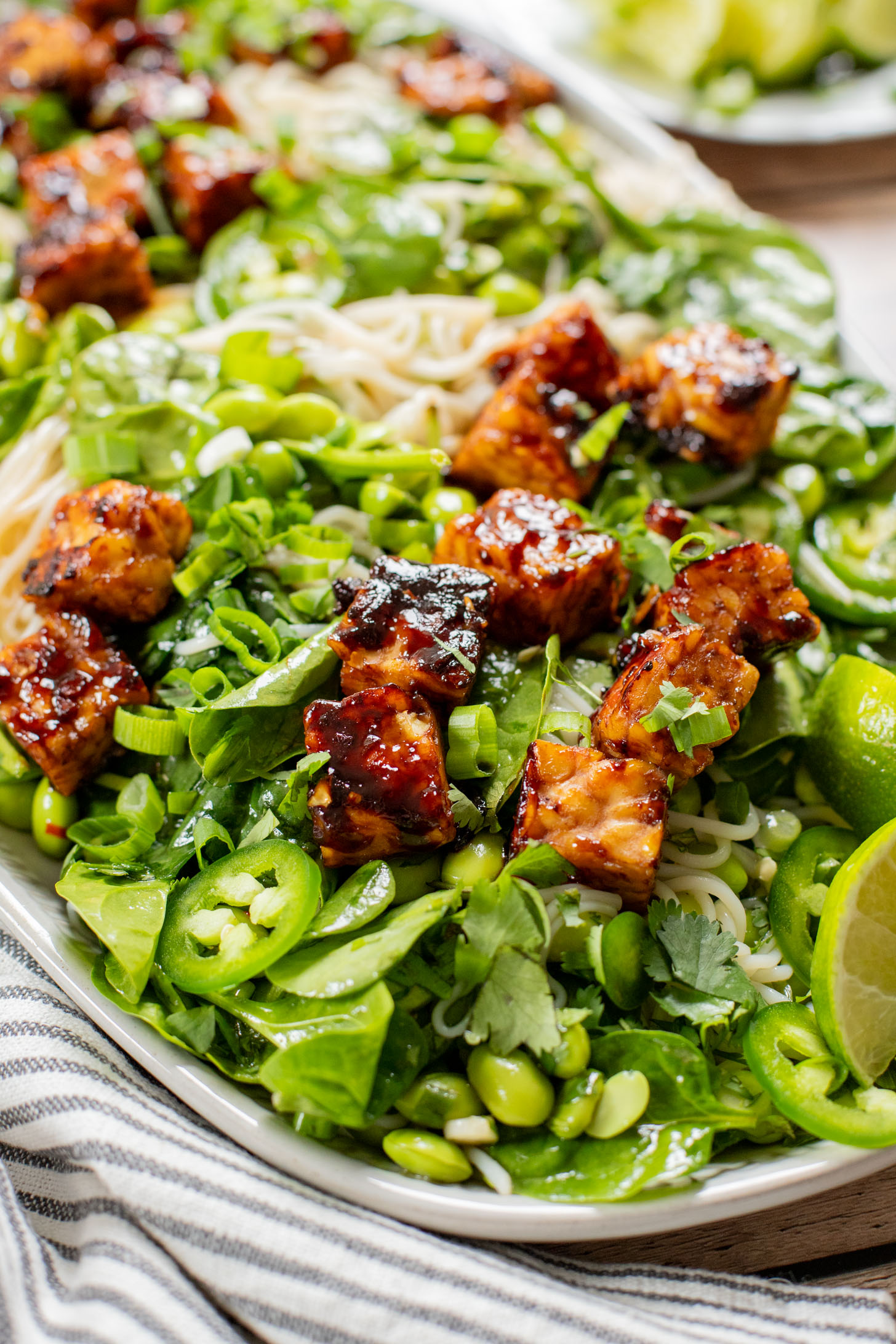 This Hoisin Tempeh Noodle Salad is high-protein, vegan & delicious! Perfect for meal prep or a quick dinner. Packed with veggies, noodles & crispy tempeh | ThisSavoryVegan.com