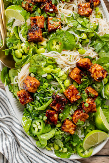 This Hoisin Tempeh Noodle Salad is high-protein, vegan & delicious! Perfect for meal prep or a quick dinner. Packed with veggies, noodles & crispy tempeh | ThisSavoryVegan.com