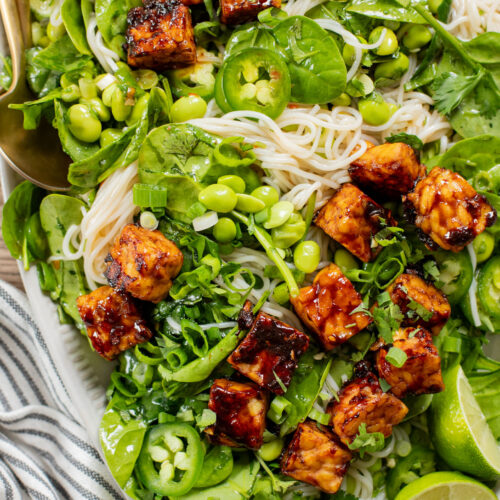 This Hoisin Tempeh Noodle Salad is high-protein, vegan & delicious! Perfect for meal prep or a quick dinner. Packed with veggies, noodles & crispy tempeh | ThisSavoryVegan.com