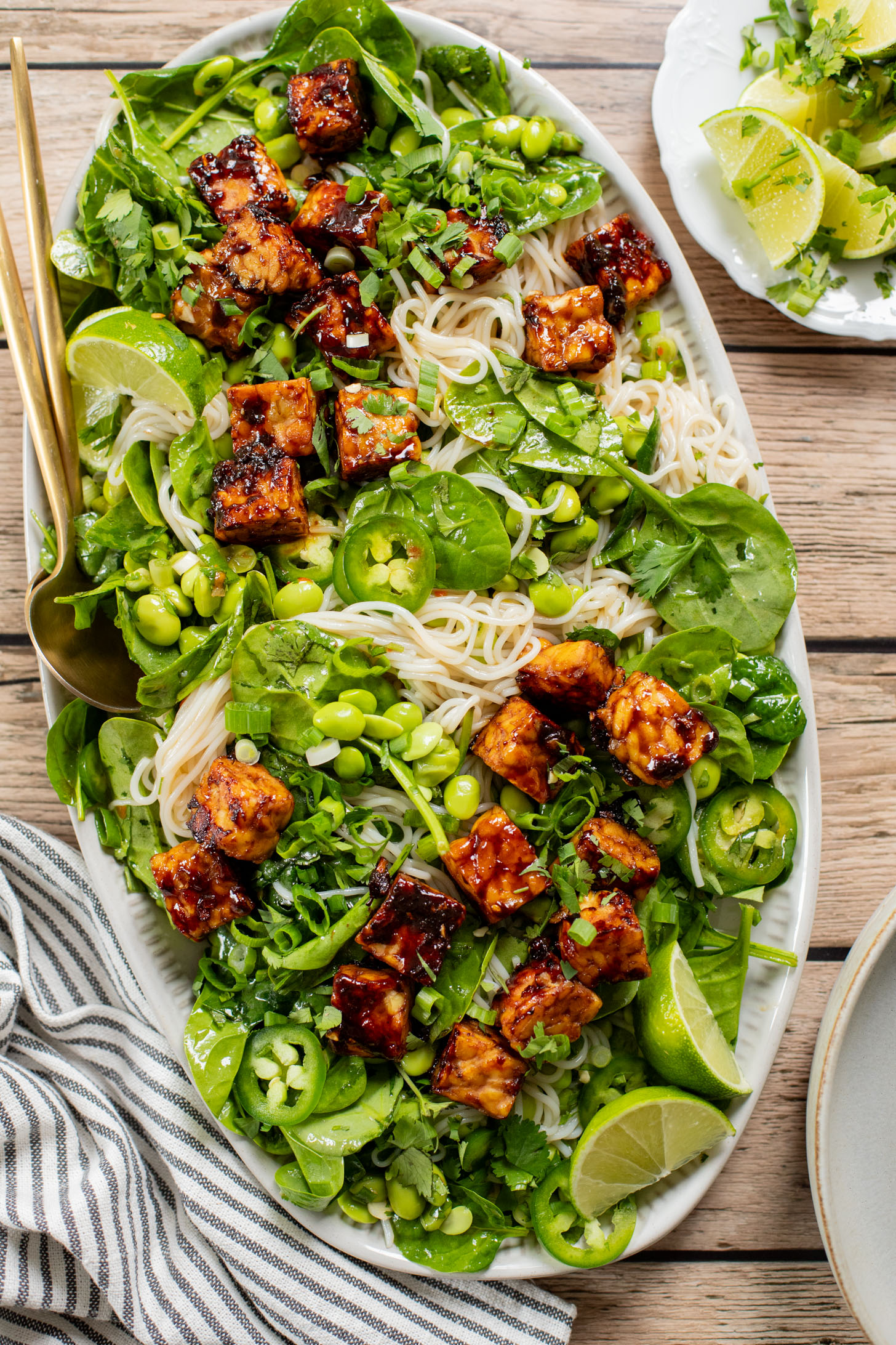 This Hoisin Tempeh Noodle Salad is high-protein, vegan & delicious! Perfect for meal prep or a quick dinner. Packed with veggies, noodles & crispy tempeh | ThisSavoryVegan.com