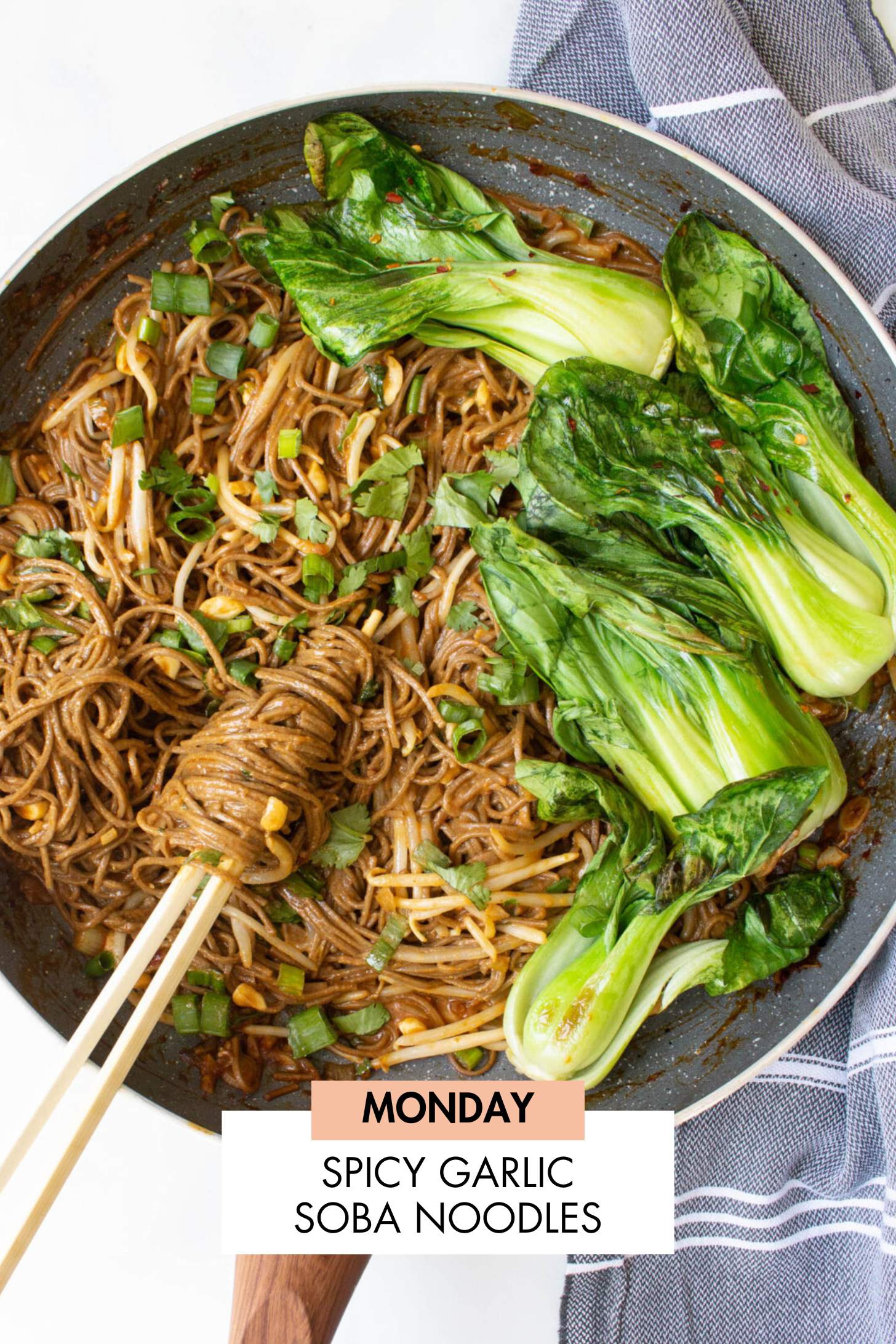 Not sure what to make for dinner this week? I have you covered with 5 simple & delicious vegan dinner ideas! | Vegan Dinner Plan #260 | ThisSavoryVegan.com