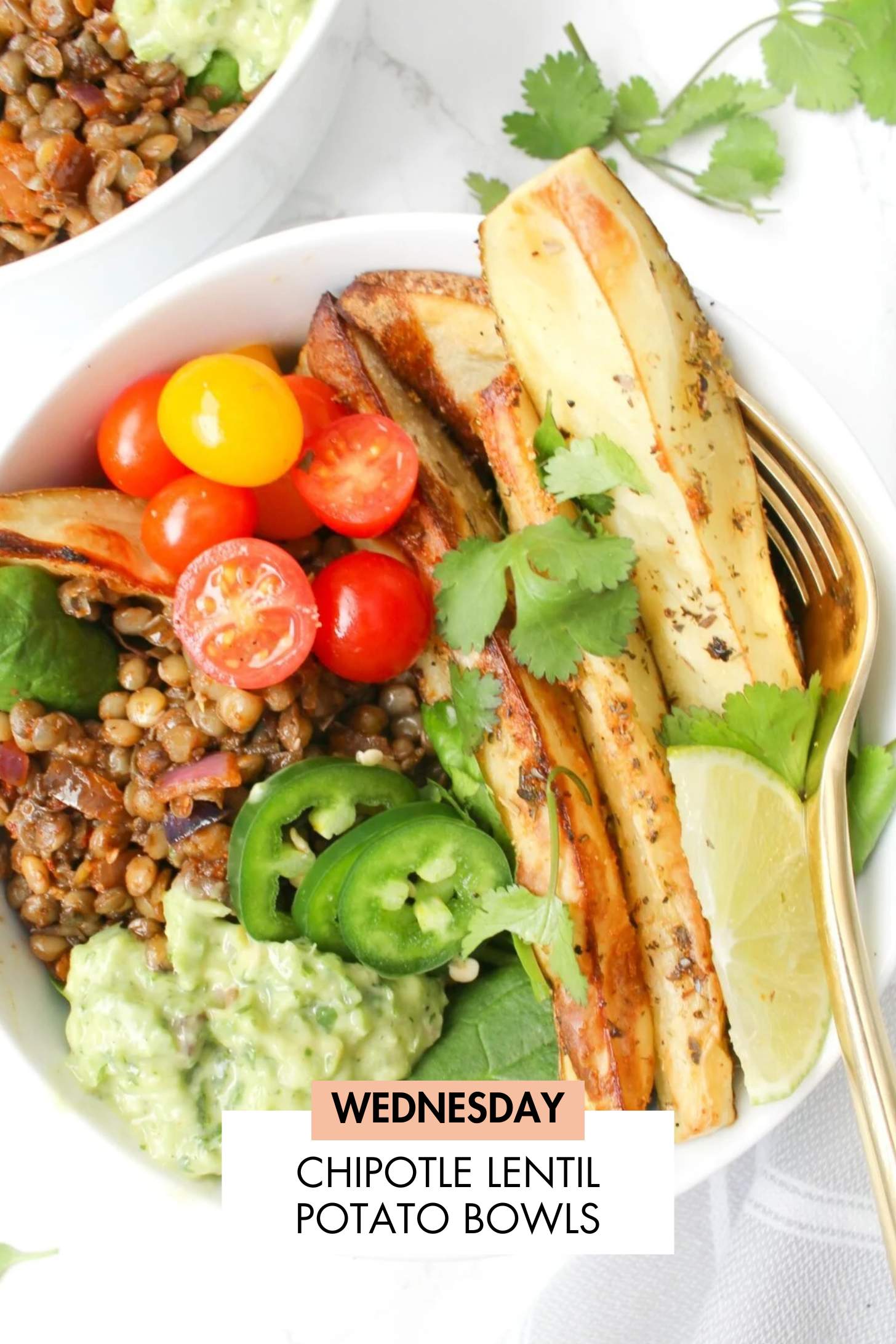 Not sure what to make for dinner this week? I have you covered with 5 simple & delicious vegan dinner ideas! | Vegan Dinner Plan #260 | ThisSavoryVegan.com