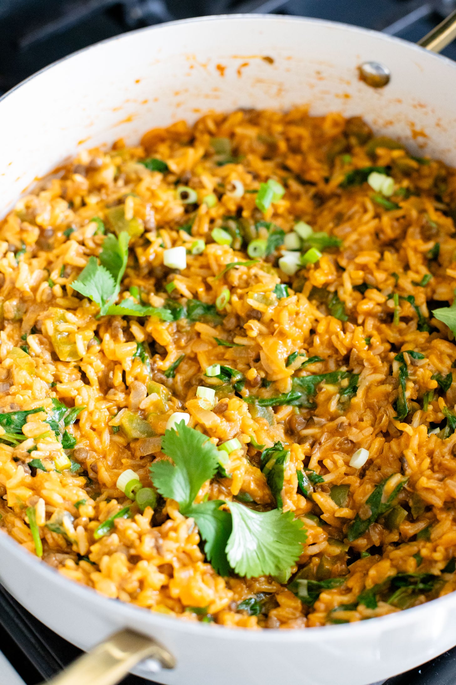 This One-Pot Curried Lentils & Rice is the perfect vegan weeknight dinner. Filled with Thai-inspired flavors and ready in 30 minutes | ThisSavoryVegan.com