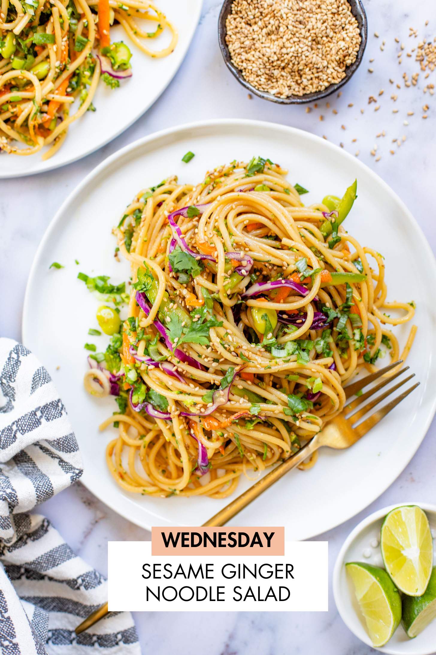 Not sure what to make for dinner this week? I have you covered with 5 simple & delicious vegan dinner ideas! | Vegan Dinner Plan #264 | ThisSavoryVegan.com