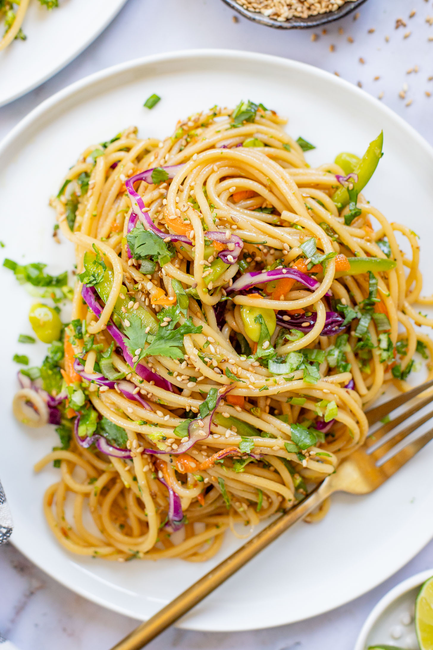 This Sesame Ginger Noodle Salad is filled with TONS of veggies, cold noodles and a super tasty homemade sesame ginger dressing | ThisSavoryVegan.com
