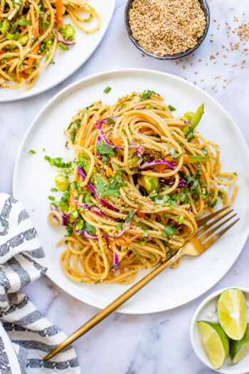 This Sesame Ginger Noodle Salad is filled with TONS of veggies, cold noodles and a super tasty homemade sesame ginger dressing | ThisSavoryVegan.com