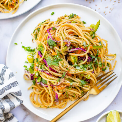This Sesame Ginger Noodle Salad is filled with TONS of veggies, cold noodles and a super tasty homemade sesame ginger dressing | ThisSavoryVegan.com