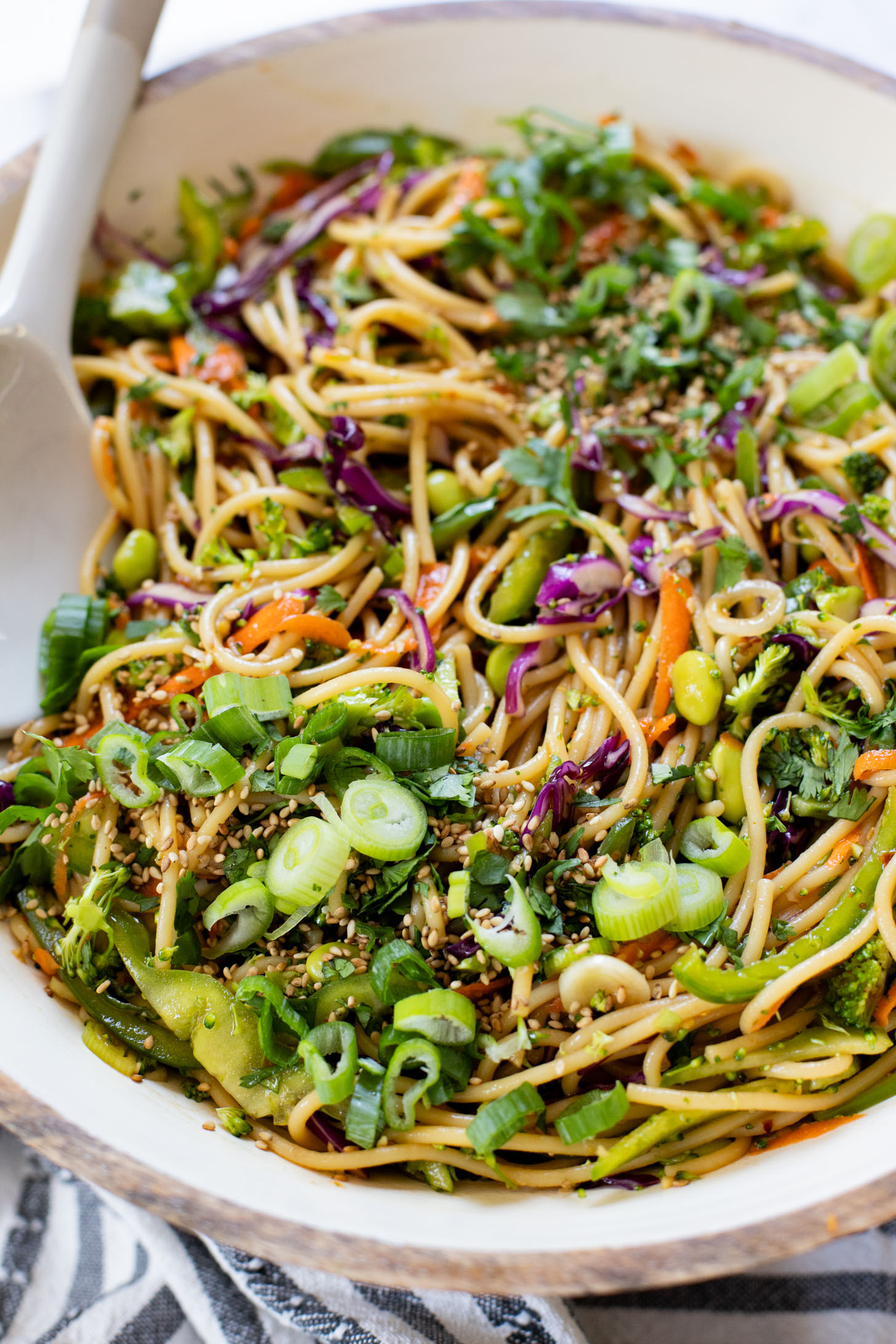 This Sesame Ginger Noodle Salad is filled with TONS of veggies, cold noodles and a super tasty homemade sesame ginger dressing | ThisSavoryVegan.com