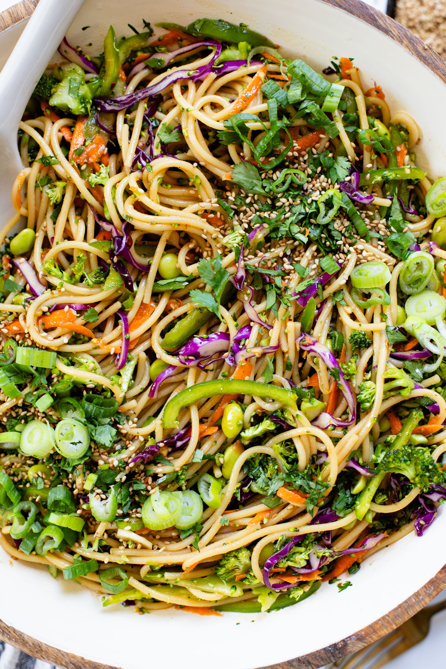 This Sesame Ginger Noodle Salad is filled with TONS of veggies, cold noodles and a super tasty homemade sesame ginger dressing | ThisSavoryVegan.com