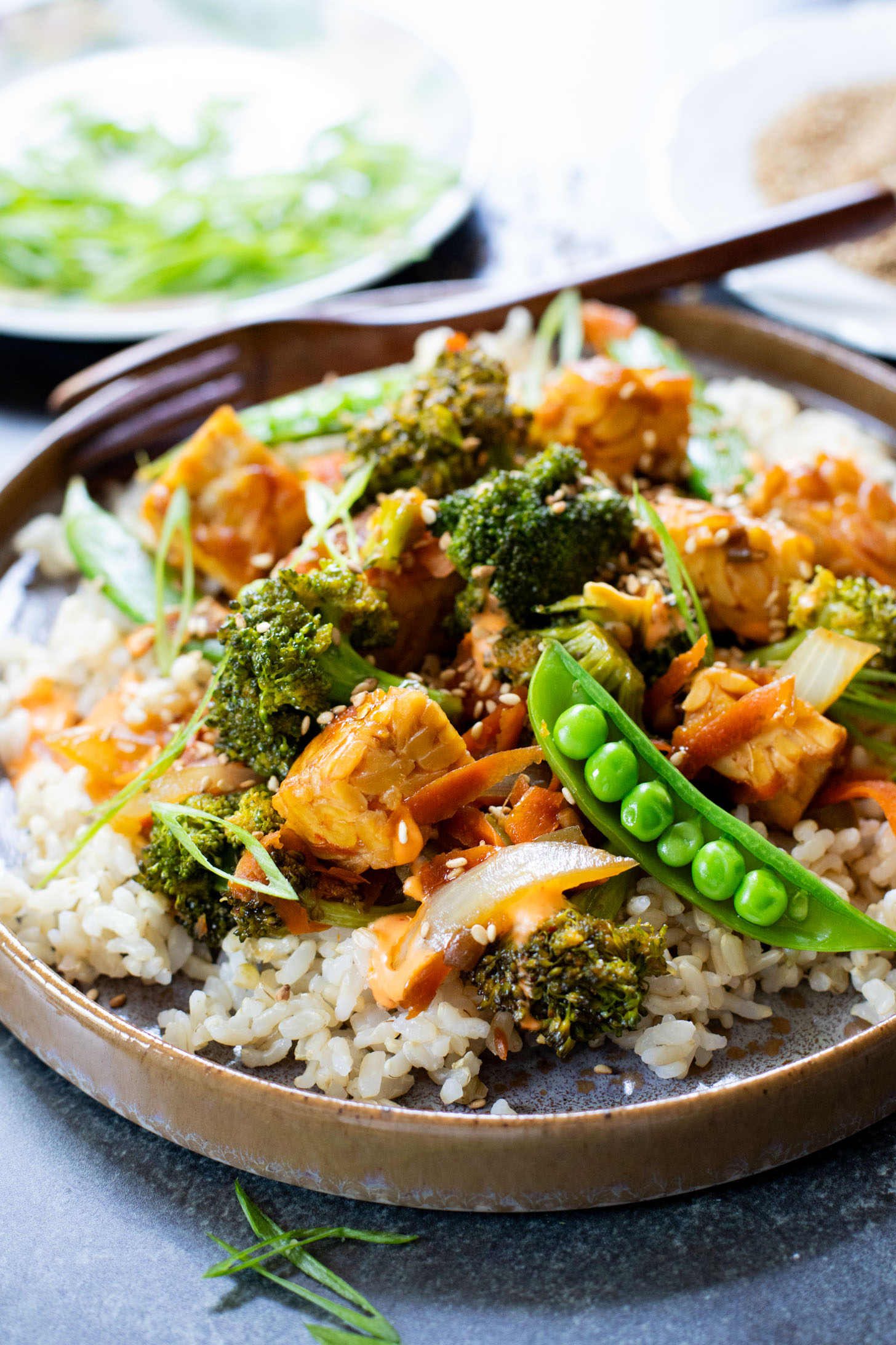 This Simple Tempeh Stir Fry is packed with crispy tempeh, TONS of veggies and a delicious soy-based stir fry sauce. Ready in 30 minutes | ThisSavoryVegan.com
