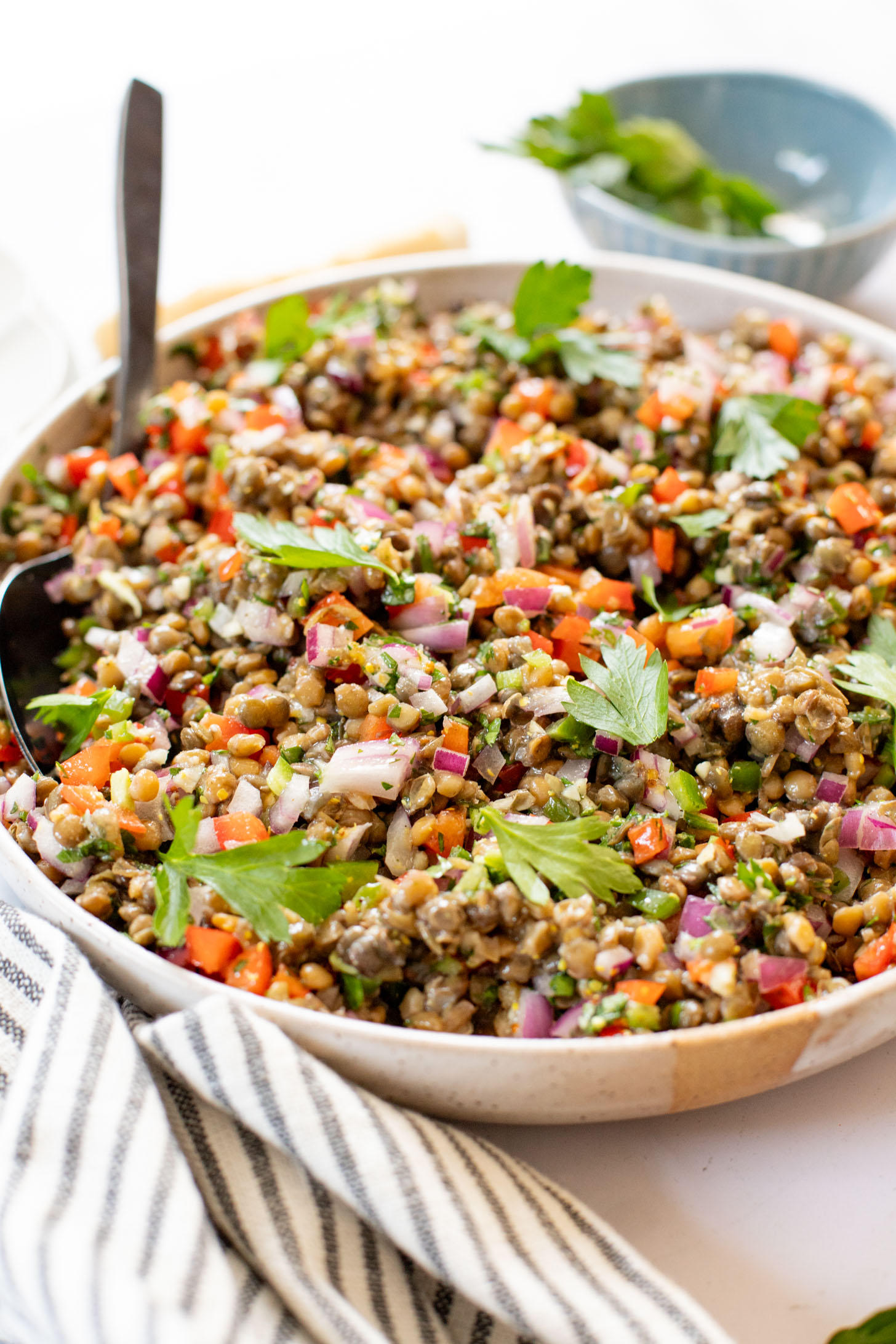 This Super Yummy Lentil Salad is ready in 15 minutes! Packed with veggies, protein and the perfect lemon garlic vinaigrette | ThisSavoryVegan.com