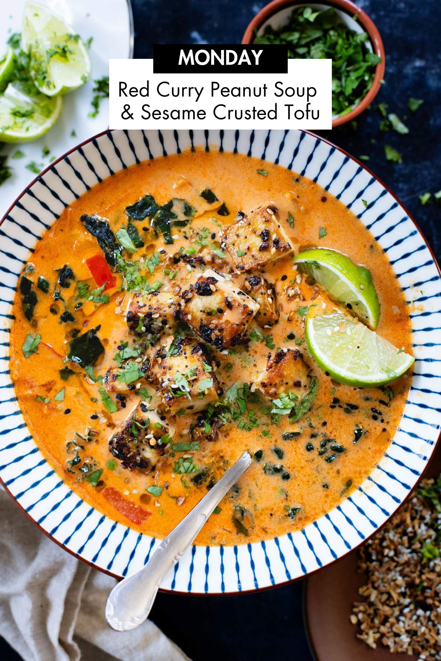 Not sure what to make for dinner this week? I have you covered with 5 simple & delicious vegan dinner ideas! | Vegan Dinner Plan #278 | ThisSavoryVegan.com
