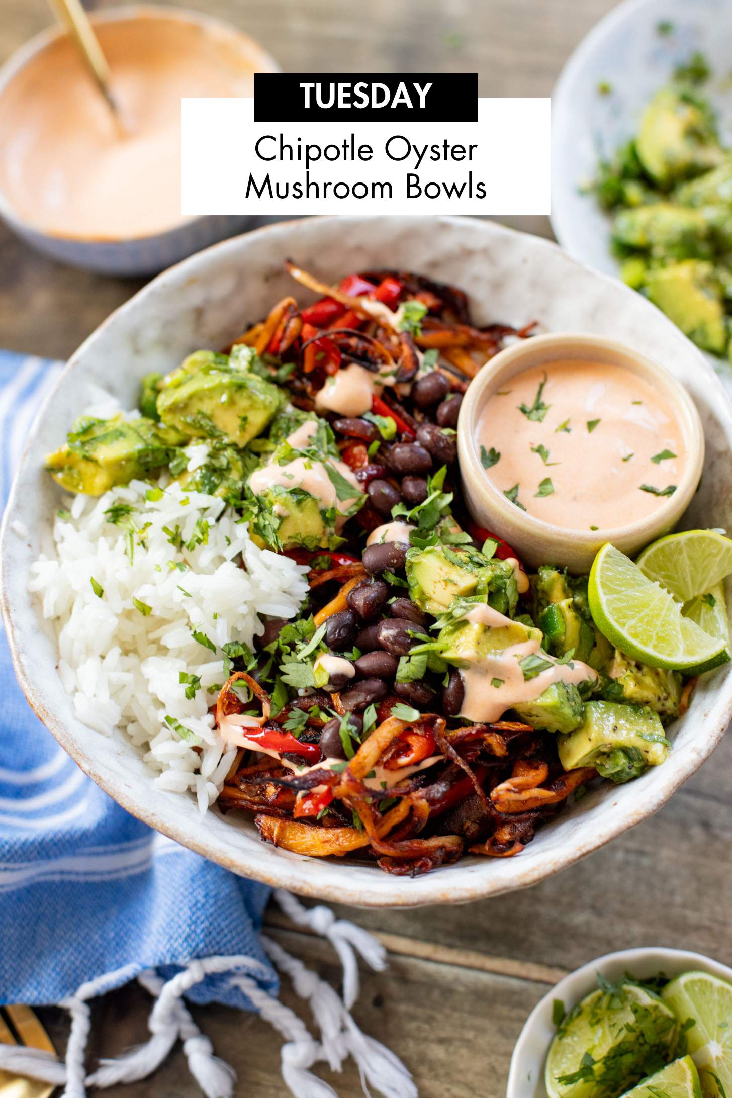 Not sure what to make for dinner this week? I have you covered with 5 simple & delicious vegan dinner ideas! | Vegan Dinner Plan #279 | ThisSavoryVegan.com