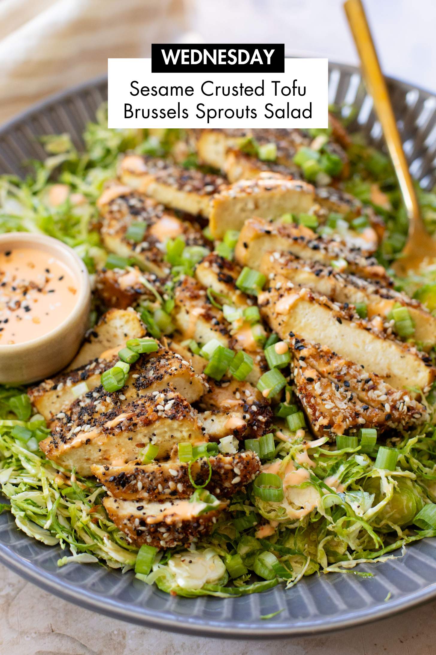 Not sure what to make for dinner this week? I have you covered with 5 simple & delicious vegan dinner ideas! | Vegan Dinner Plan #277 | ThisSavoryVegan.com