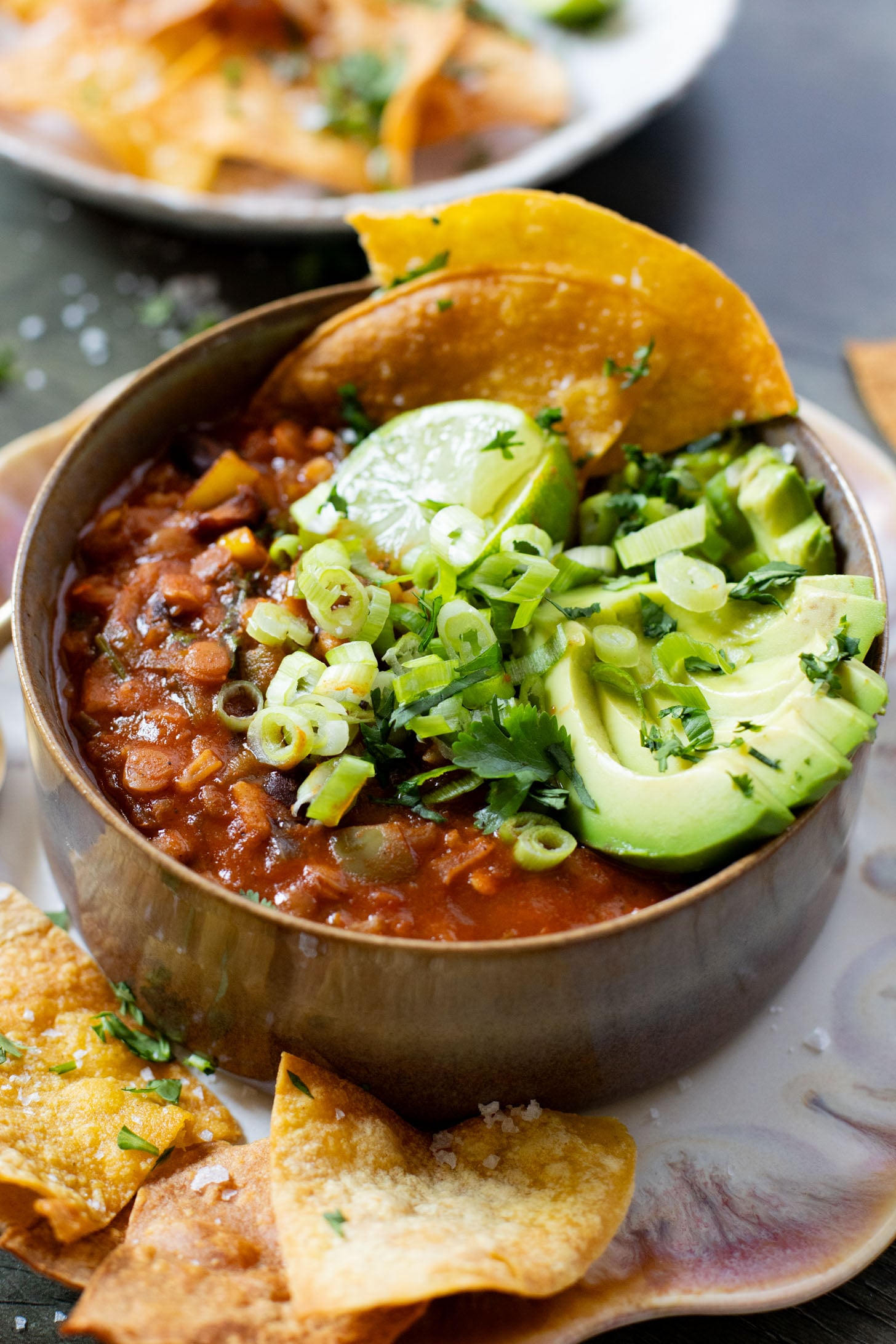 Cozy, comforting & healthy, this Lentil & Rice Enchilada Chili is the perfect one-pot vegan dinner! Perfect for meal prepped lunches | ThisSavoryVegan.com