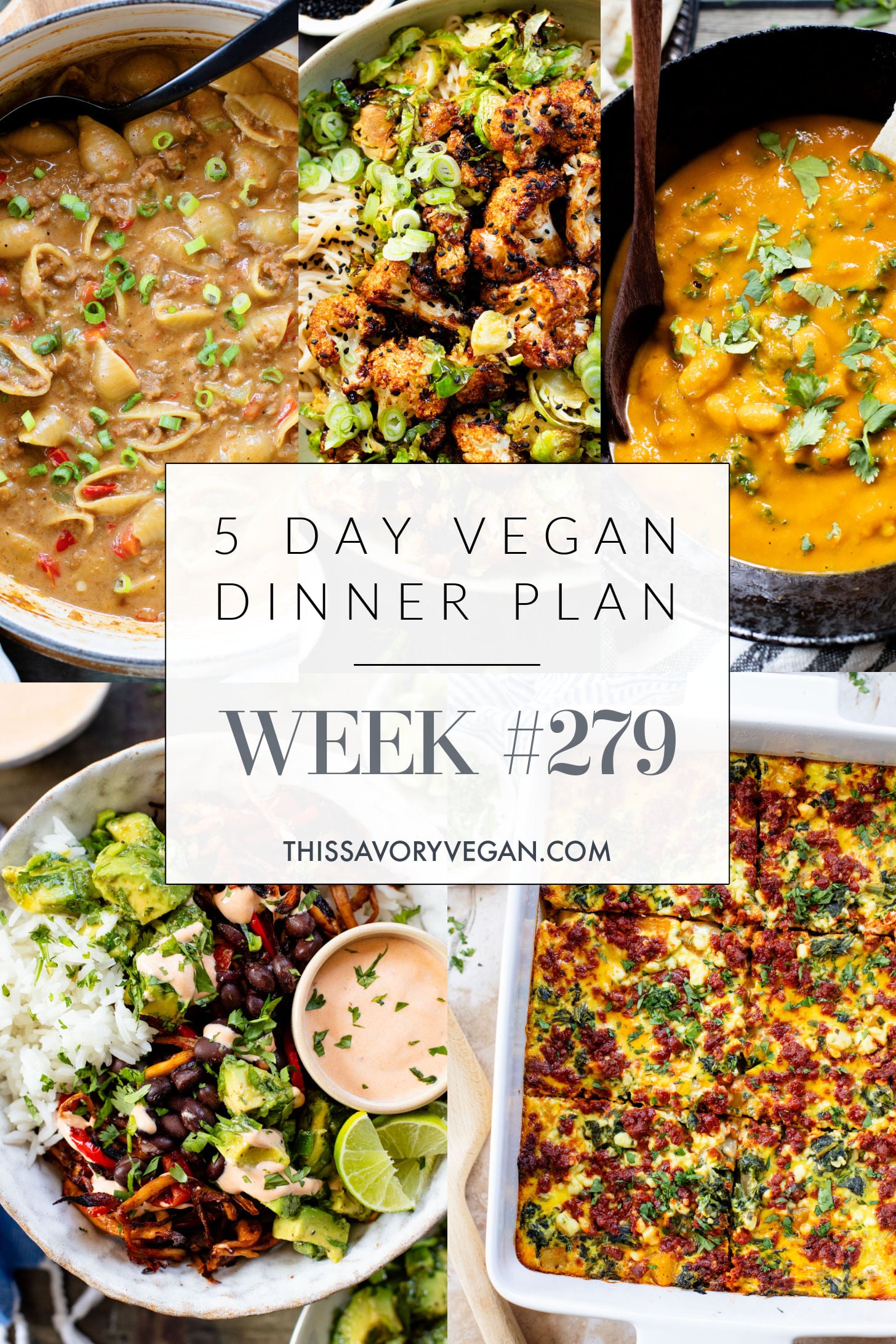Not sure what to make for dinner this week? I have you covered with 5 simple & delicious vegan dinner ideas! | Vegan Dinner Plan #279 | ThisSavoryVegan.com
