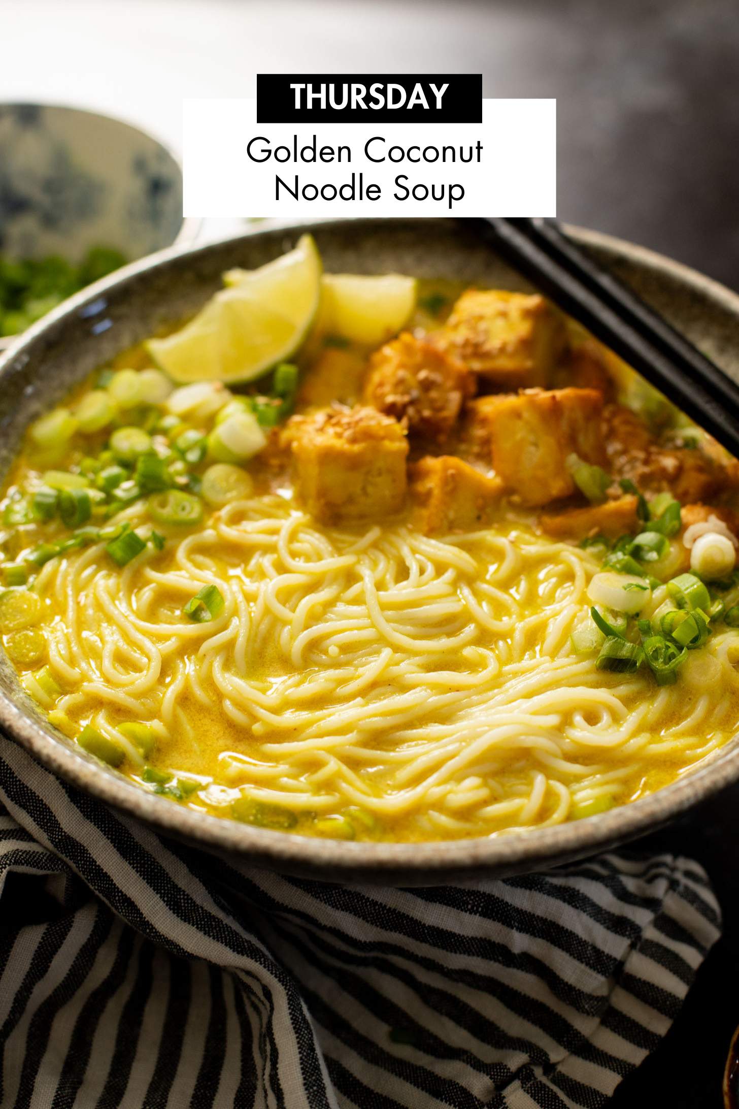 Not sure what to make for dinner this week? I have you covered with 5 simple & delicious vegan dinner ideas! | Vegan Dinner Plan #283 | ThisSavoryVegan.com