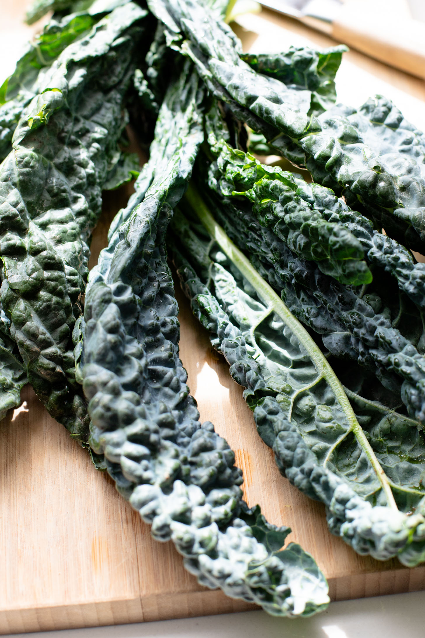 This Fall Harvest Salad is filled with roasted delicata squash, kale & red onion tossed in a creamy tahini dressing. Serve as a main or a side | ThisSavoryVegan.com