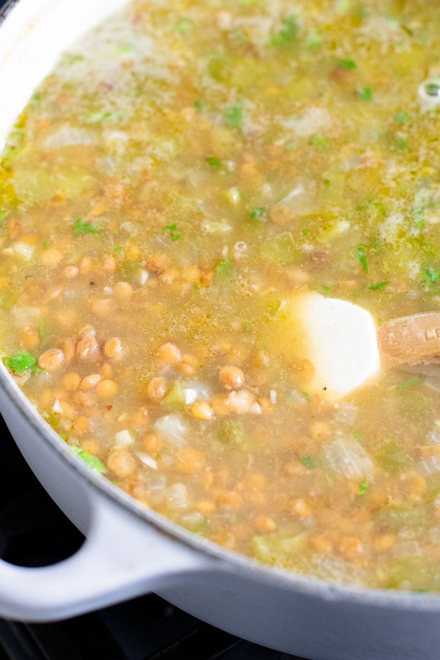 Simple, quick and delicious, this Salsa Verde Lentil Soup is the perfect fall dinner. Ready in 30 minutes and packed with flavor | ThisSavoryVegan.com
