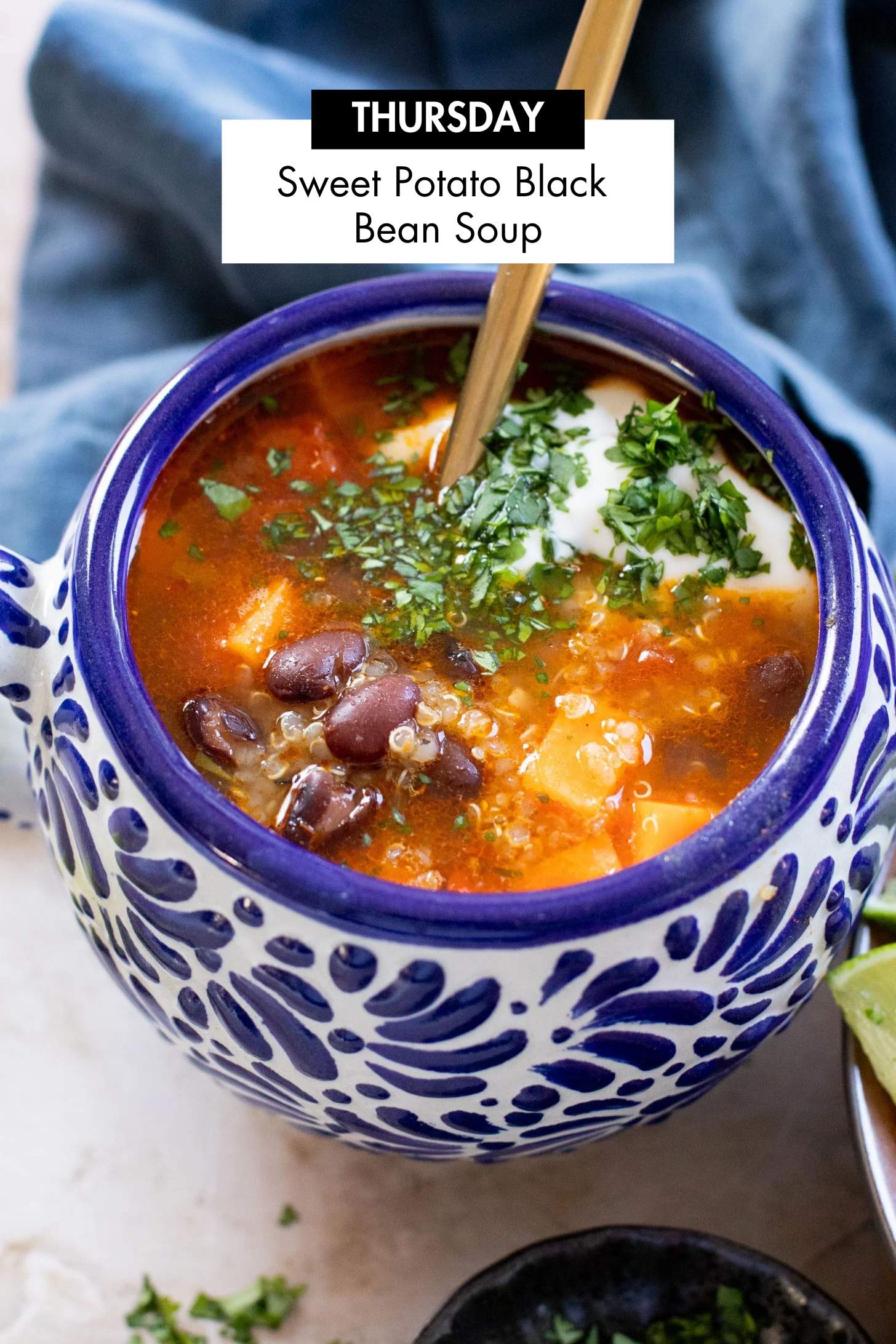 Not sure what to make for dinner this week? I have you covered with 5 simple & delicious vegan dinner ideas! | Vegan Dinner Plan #285 | ThisSavoryVegan.com